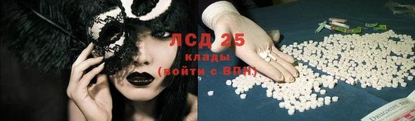 ECSTASY Алзамай
