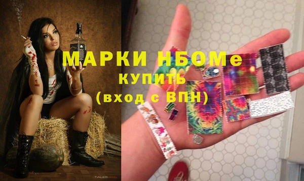 ECSTASY Алзамай