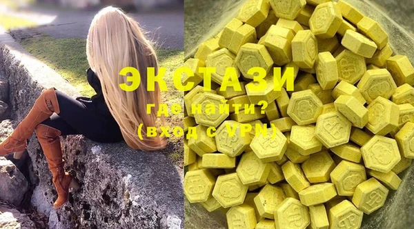 ECSTASY Алзамай