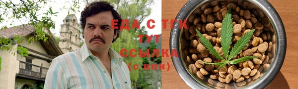ECSTASY Алзамай