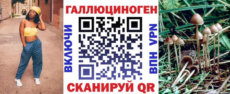 купить наркотик  Могоча  Галлюциногенные грибы прущие грибы 